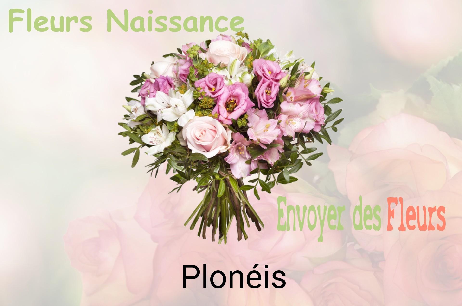 Bouquet de fleurs de naissance livré à Plonéis